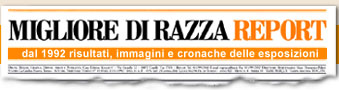 logo miglioredirazza