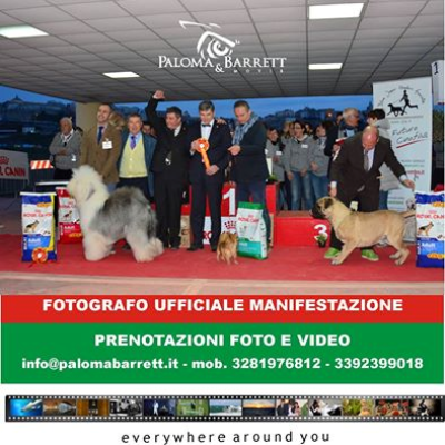 1 Bis Catanzaro