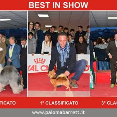 2 Bis Catanzaro