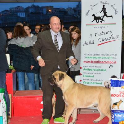Bis Catanzaro 3 Posto