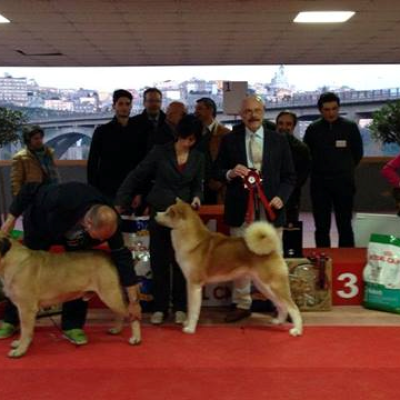 1 Bis Crotone