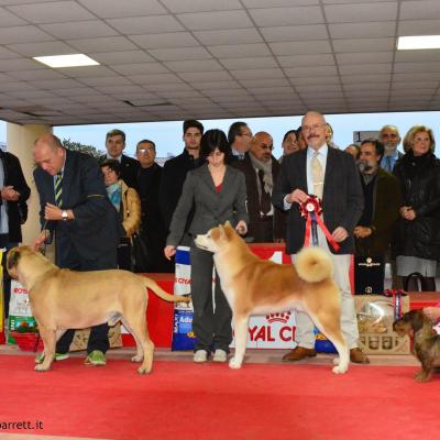 3 Bis Crotone