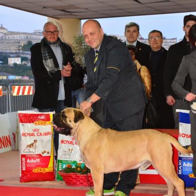 Bis Crotone 2 Posto