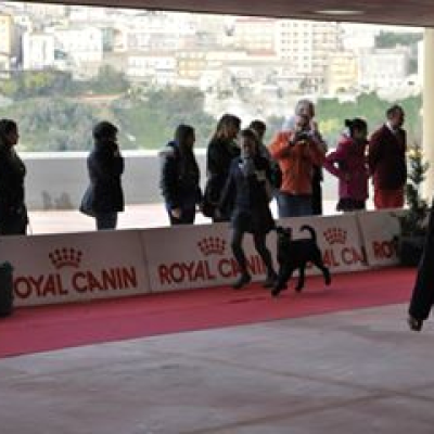 Kr1