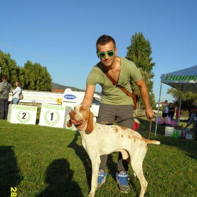 Sam 5489