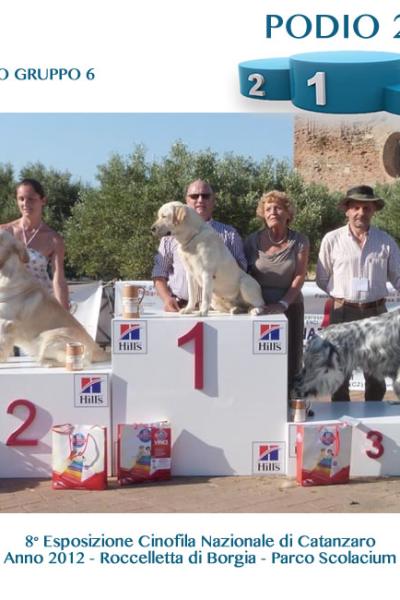 11 Podio Gruppo 6
