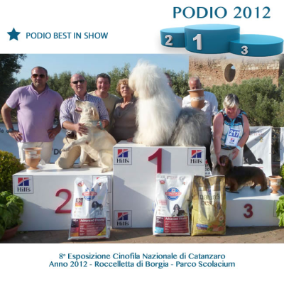 14 Podio Best In Schow