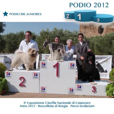 4 Podio Bis Juniores