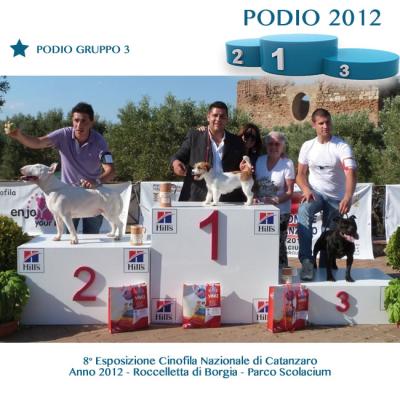8 Podio Gruppo 3