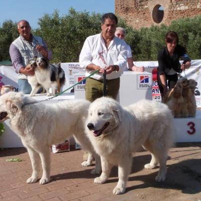 Podio 2012