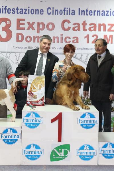 10 Gruppo 6