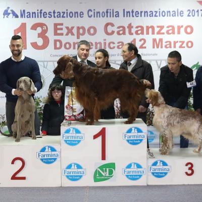11 Gruppo 7