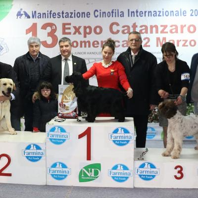 12 Gruppo 8