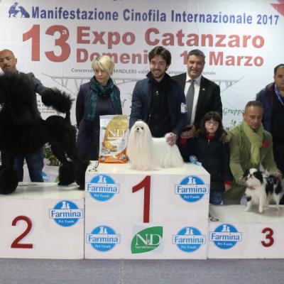 13 Gruppo 9