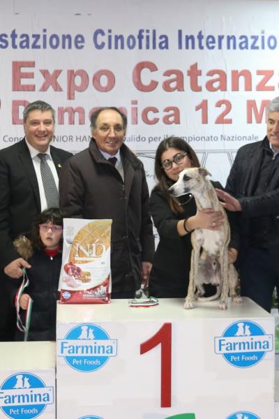 14 Gruppo 10