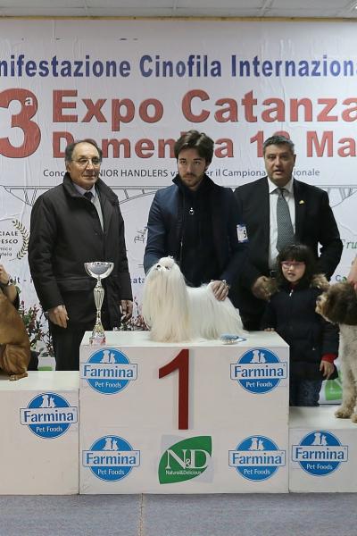 15 Razze Italiane