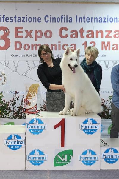 5 Gruppo 1