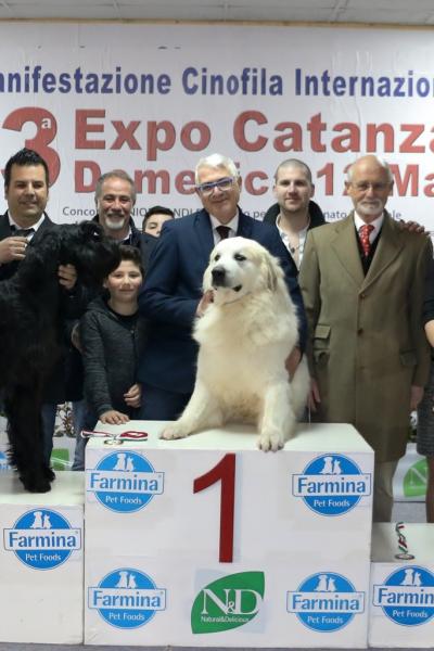 6 Gruppo 2