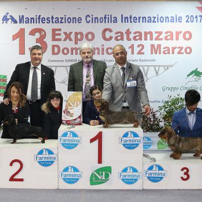 7 Gruppo 4