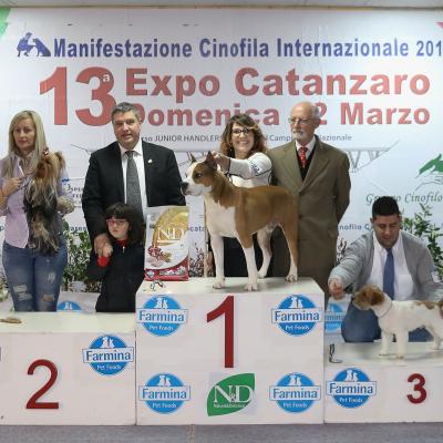 8 Gruppo 3