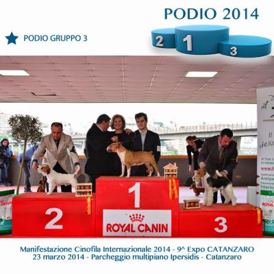 11podiogruppo3