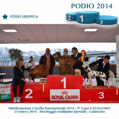 14podiogruppo6