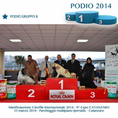 16podiogruppo8