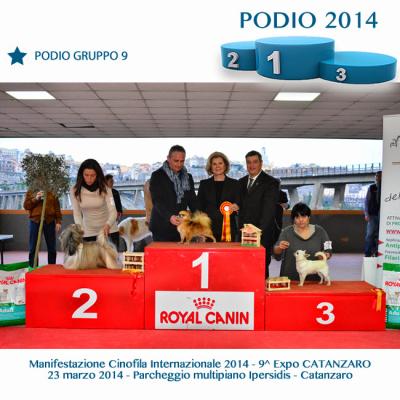17podiogruppo9