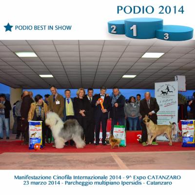 19podiobestinshow