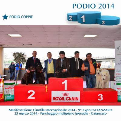 3podiocoppie
