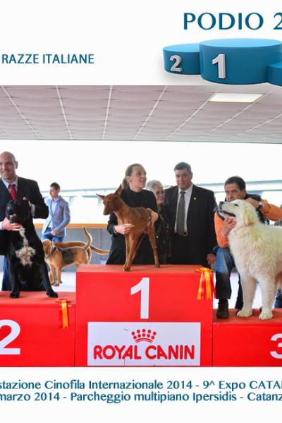4podiorazzeitaliane