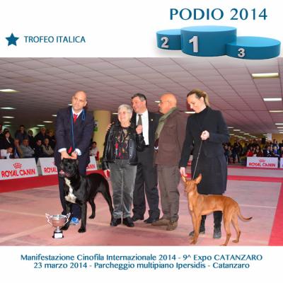6trofeoitalica