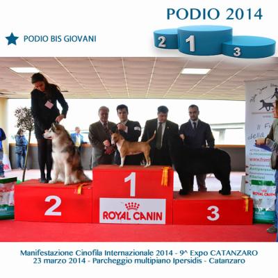 8podiobisgiovani