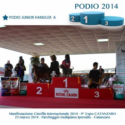 Podio internazionale 2014