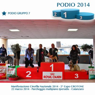14podiogruppo7