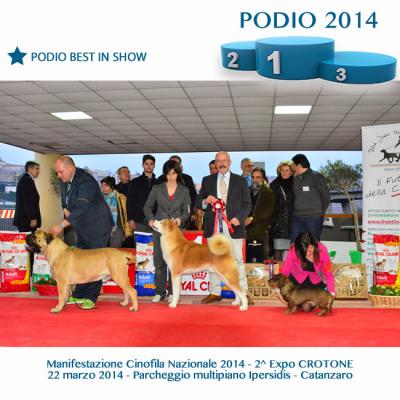 16podiobestinshow