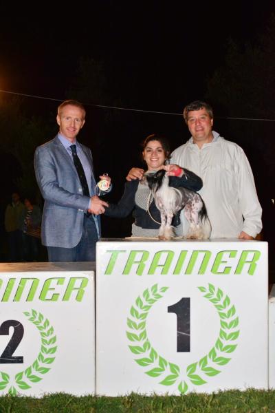 11 Gruppo 9