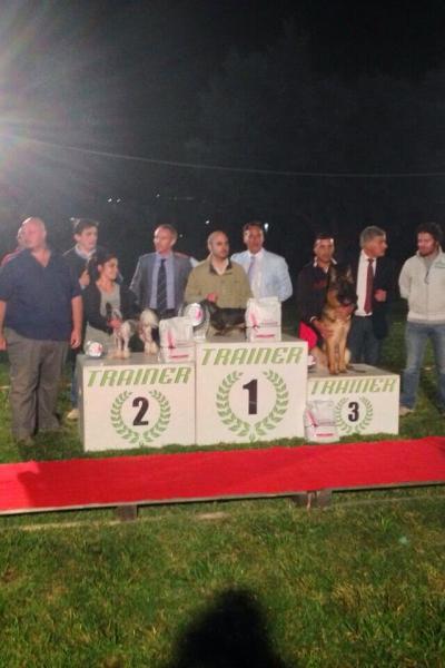 12 Best In Schow