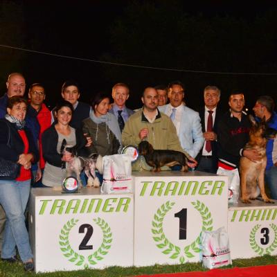 13 Best In Schow