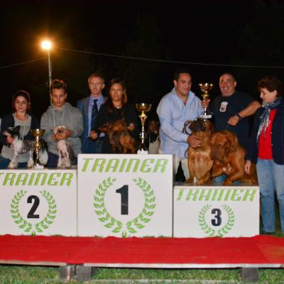 4 Coppie