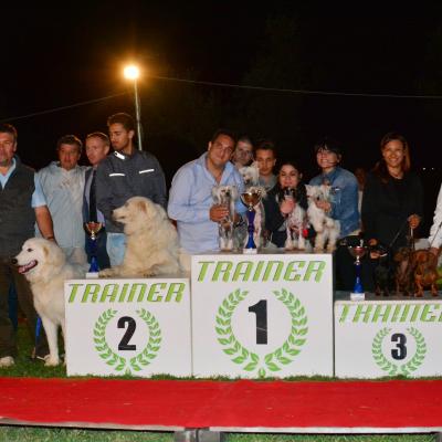 5 Gruppo Dallevamento