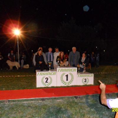 Expo regionale 2014