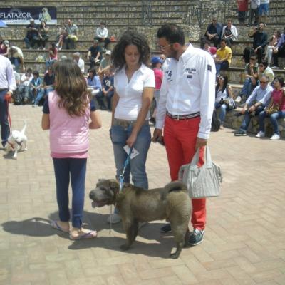 Gruppo Cinofilo We4zampe 2012.112