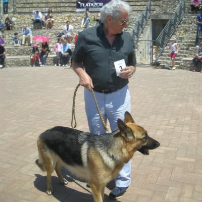 Gruppo Cinofilo We4zampe 2012.117