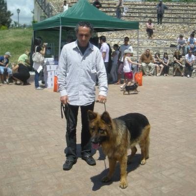 Gruppo Cinofilo We4zampe 2012.119