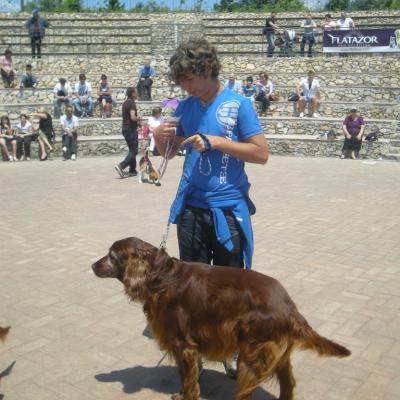 Gruppo Cinofilo We4zampe 2012.125