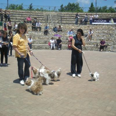 Gruppo Cinofilo We4zampe 2012.130