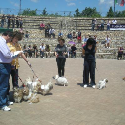 Gruppo Cinofilo We4zampe 2012.131