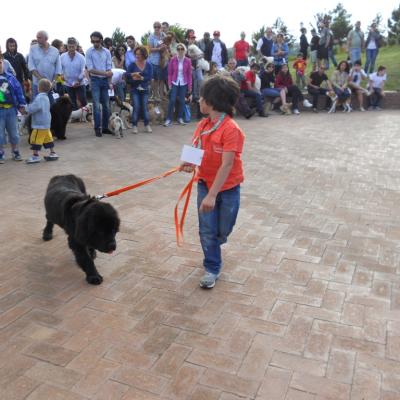 Gruppo Cinofilo We4zampe 2012.28
