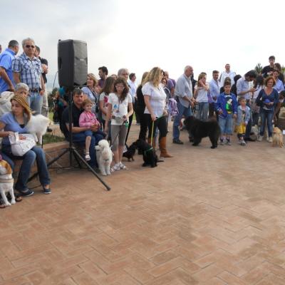 Gruppo Cinofilo We4zampe 2012.31